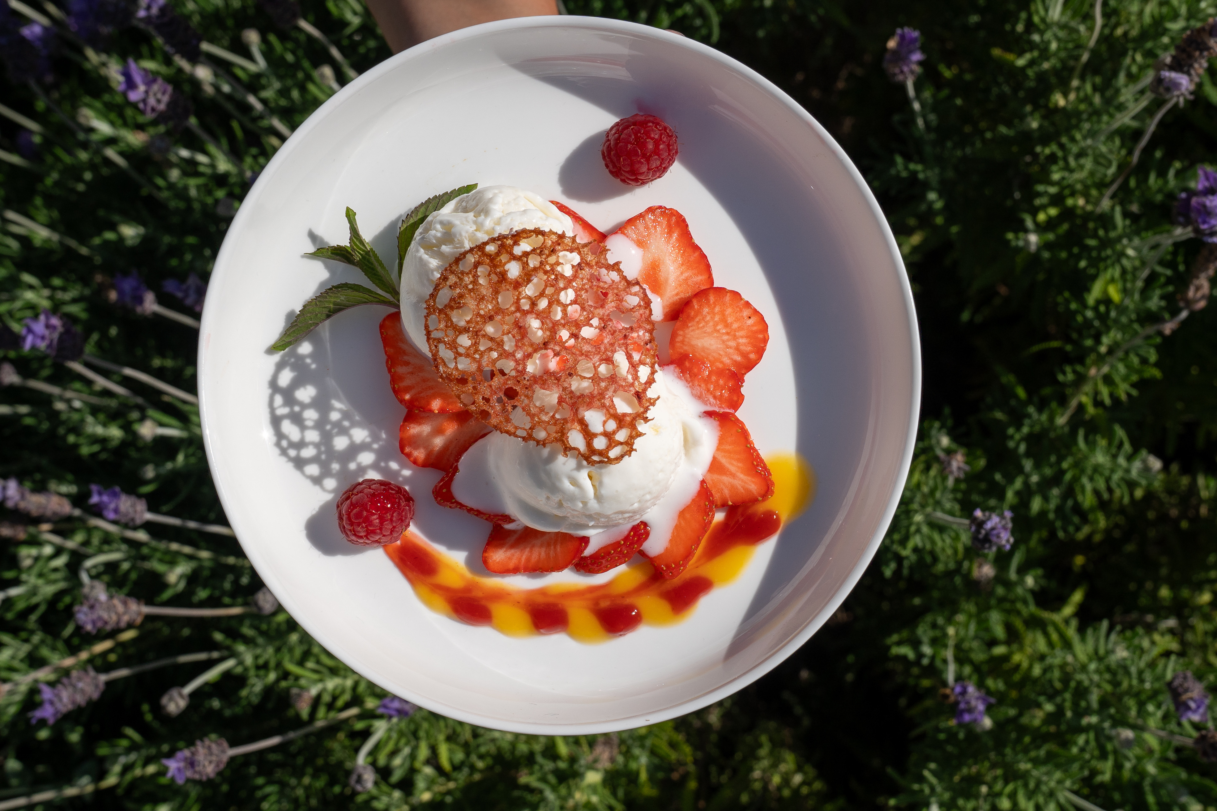 **Stuttgart** **Munich** **Mallorca** **International**